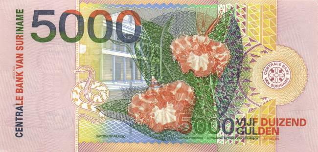 5000 Gulden 2000